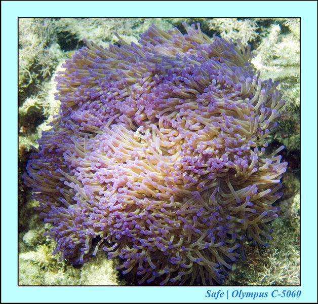 2008 - 07 - Leng Tengah - 058